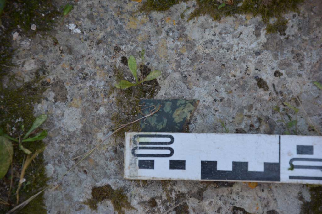 IX.5.14 Pompeii. May 2017. Room �L�, detail of flooring.
Foto Christian Beck, ERC Grant 681269 D�COR.
