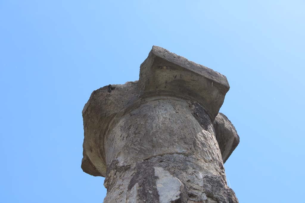 IX.5.14 Pompeii. May 2019. Room “k”, detail from top of column on south portico.
Foto Christian Beck, ERC Grant 681269 DÉCOR.
