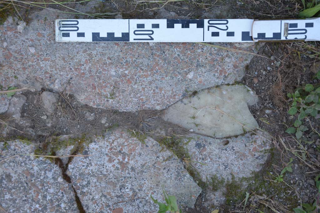 IX.5.14 Pompeii. May 2017. Peristyle �k�, detail from flooring at base of south wall.
Foto Christian Beck, ERC Grant 681269 D�COR.
