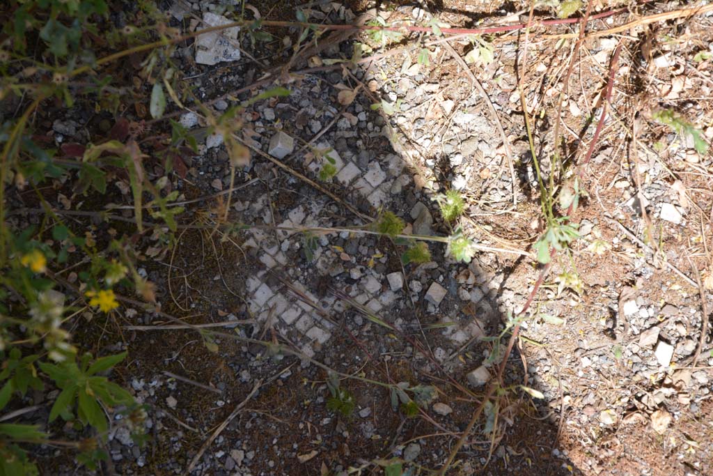 IX.5.14 Pompeii. May 2017. Room “m”, remaining white mosaic in floor.
Foto Christian Beck, ERC Grant 681269 DÉCOR.