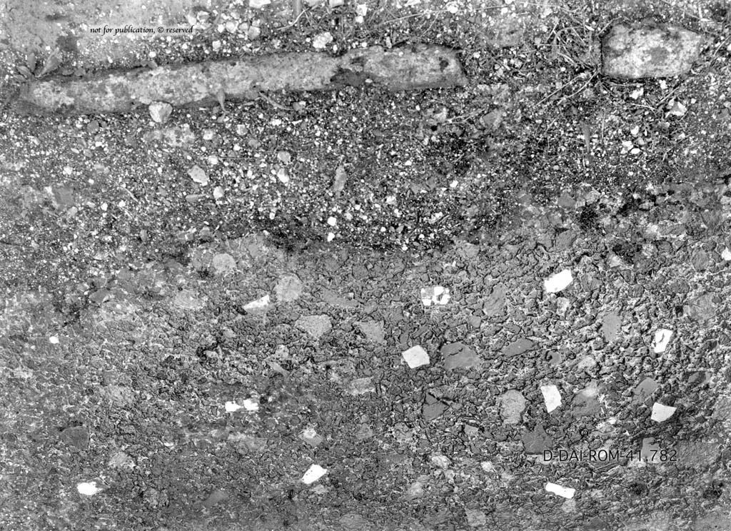 IX.5.14 Pompeii. c.1930. Room �n�, flooring in the exedra.  
DAIR 41.782. Photo � Deutsches Arch�ologisches Institut, Abteilung Rom, Arkiv.
See Pernice, E.  1938. Pavimente und Fig�rliche Mosaiken: Die Hellenistische Kunst in Pompeji, Band VI. Berlin: de Gruyter, (tav. 50,5, above.)

