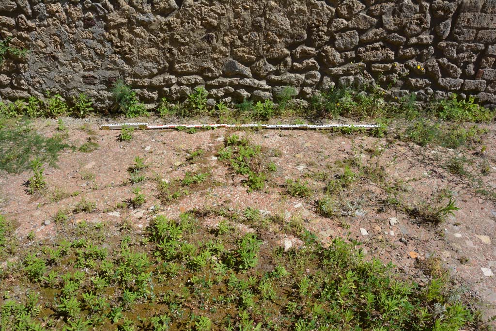 IX.5.14 Pompeii. May 2017. Room �n�, south wall and flooring.
Foto Christian Beck, ERC Grant 681269 D�COR.

