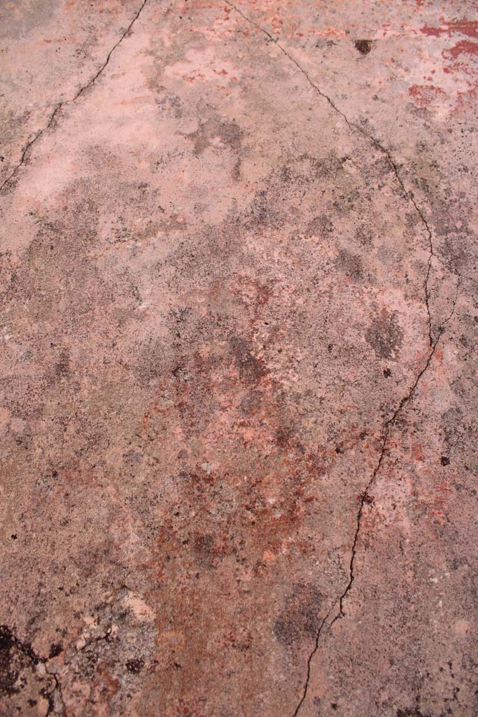 IX.5.14 Pompeii. May 2019. Room “f”, figure of Muse in centre of north panel on east wall.
Foto Christian Beck, ERC Grant 681269 DÉCOR.