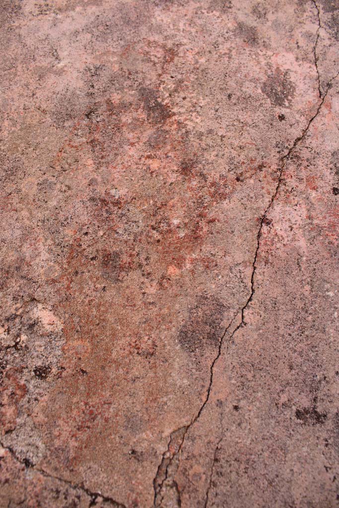 IX.5.14 Pompeii. May 2019.
Room “f”, detail of figure of Muse Melpomene in centre of north panel on east wall.
Foto Christian Beck, ERC Grant 681269 DÉCOR.