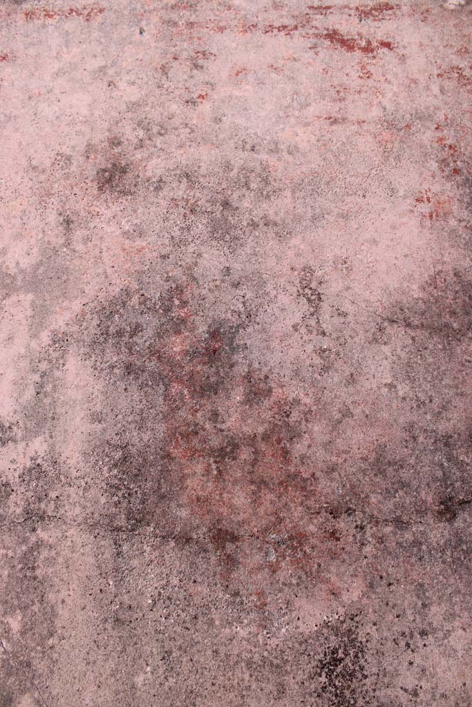 IX.5.14 Pompeii. May 2019.
Room “f”, figure of Muse Thalia in centre of south panel on east wall.
Foto Christian Beck, ERC Grant 681269 DÉCOR.