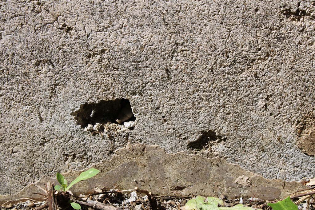 IX.5.14 Pompeii. May 2019. Room �e�, lower west wall of north ala, 
Foto Christian Beck, ERC Grant 681269 D�COR.

