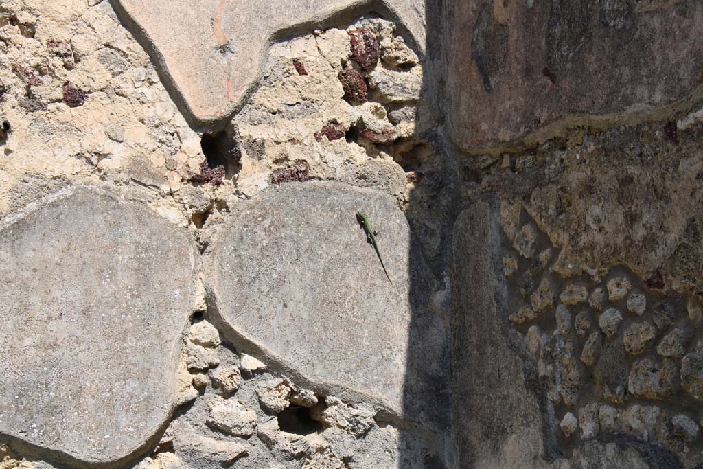 IX.5.14 Pompeii. May 2019. North ala, �e�, upper north wall in north-east corner.
Foto Christian Beck, ERC Grant 681269 D�COR.




