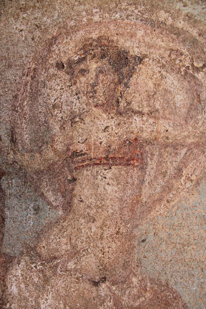 IX.5.14 Pompeii. May 2019. Cubiculum “g”, detail of Europa from central panel on south wall.  
Foto Christian Beck, ERC Grant 681269 DÉCOR.
