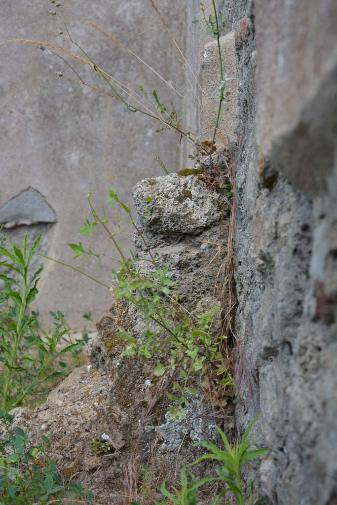 IX.5.18 Pompeii. May 2017. Room i, looking towards west wall, from atrium b side.
Foto Christian Beck, ERC Grant 681269 DÉCOR.