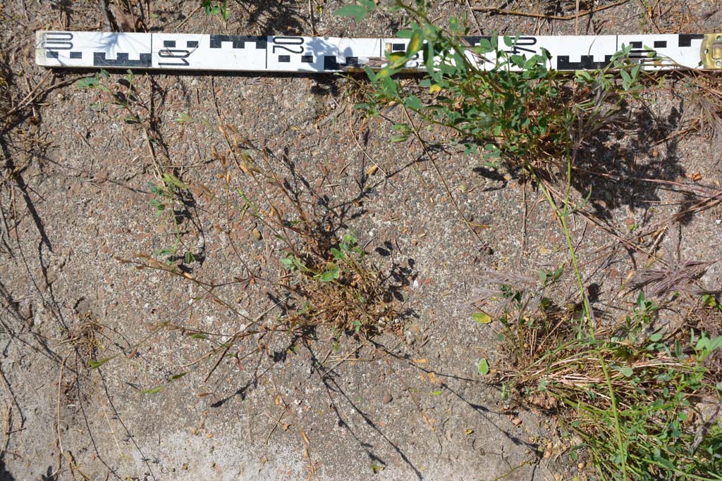 IX.5.18 Pompeii. May 2017. Room k, flooring.
Foto Christian Beck, ERC Grant 681269 DÉCOR.
