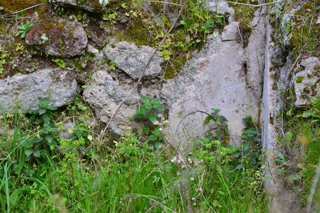 IX.5.18 Pompeii. March 2017. Room b, detail from north-east corner of pool.
Foto Christian Beck, ERC Grant 681269 DÉCOR.