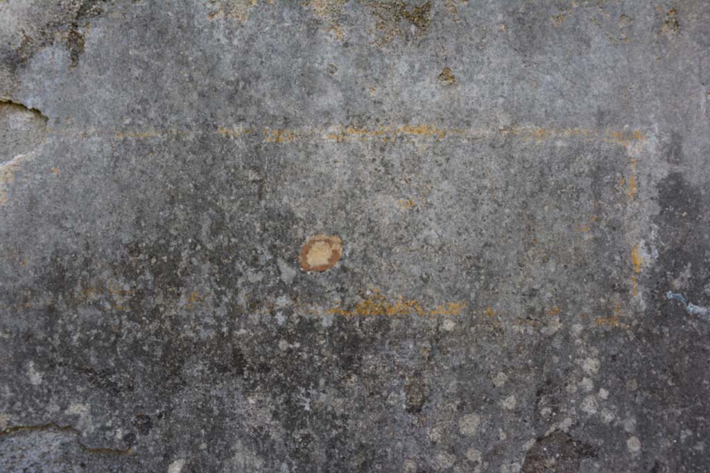 IX.5.18 Pompeii. March 2017. Room f, detail of painted decoration on south wall.
Foto Christian Beck, ERC Grant 681269 DÉCOR.