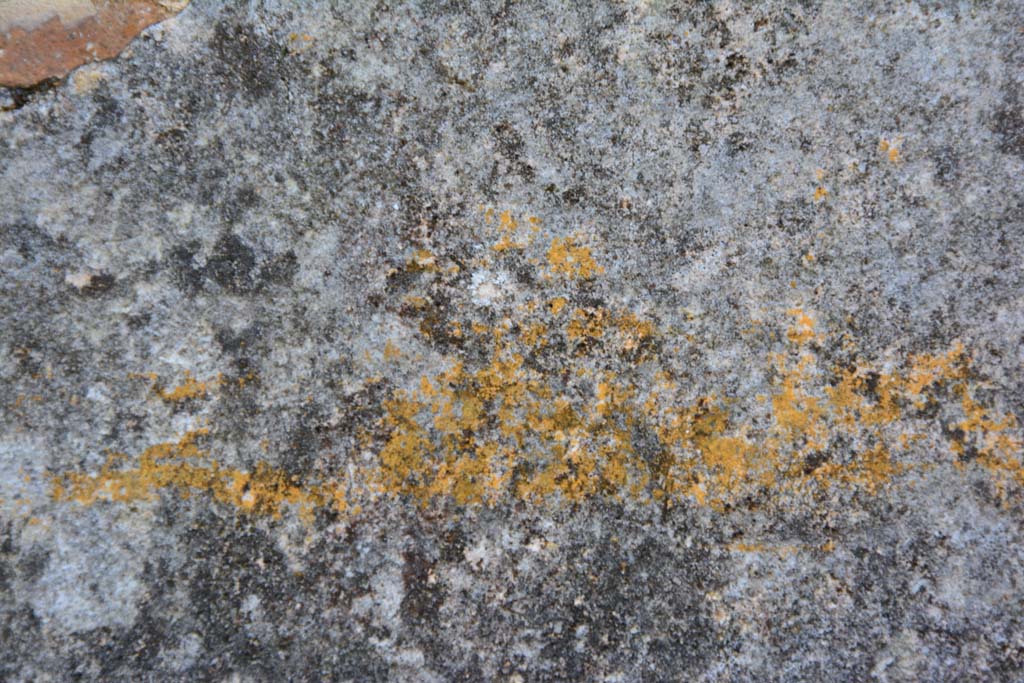 IX.5.18 Pompeii. March 2017. Room f, detail from south wall at east end.
Foto Christian Beck, ERC Grant 681269 DÉCOR.