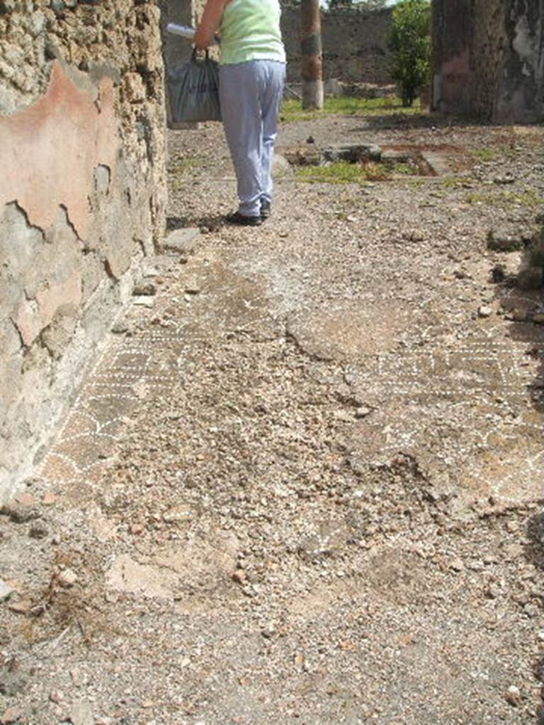 IX.6.5 Pompeii. May 2005. Decorated floor in entrance corridor 1, leading to atrium 2.
According to Della Corte, the atrium floor in opus signinum composed the epigraph of the musivarius Felix.  This was in small tesserae of white marble along the west side.
Ave Quartil(l)a, da bis (iussus); Sal(v)us sis Gra(te).
Gratus Architec(tu)s p(ecunia) s(ua).  Ego Felix (musivarius) feci    [C.X. 8146] with Note 1 on page 164.  With this knowledge he felt he was correct in making the proprietor of this house, the architect Gratus and his wife Quartilla. The musivarius was Felix.       
See Della Corte, M., 1965.  Case ed Abitanti di Pompei. Napoli: Fausto Fiorentino. (p.164)           
According to Epigraphik-Datenbank Clauss/Slaby (See www.manfredclauss.de), this reads as -
Ave Quartila dab is Salv(u)s sis Gra(te) Gratus Architec(tus) s(alutem) p(atronae?) s(uae?) ego Felix [fe]ci(?)   [CIL X 8146]
According to PPM “found near to the impluvium on its western side were the remains of a very ancient floor, in this floor and towards the western edge of the impluvium and near the vestibule were seen two inscriptions. These were no longer visible at the time of Pernice (1938)”.
According to Mau, “preserved near the impluvium were the remains of an ancient pavement. In the front edge, in the more recent flooring, one could read the word HELLEN, made from white stones: to read it you must stand on the side of the impluvium. Another inscription made in the same way was in the same pavement along the front edge of the atrium; it began near the south-west corner and finished towards the north of the entrance corridor.”  It was published in Notizie degli Scavi, 1878, p.322, and said this -
