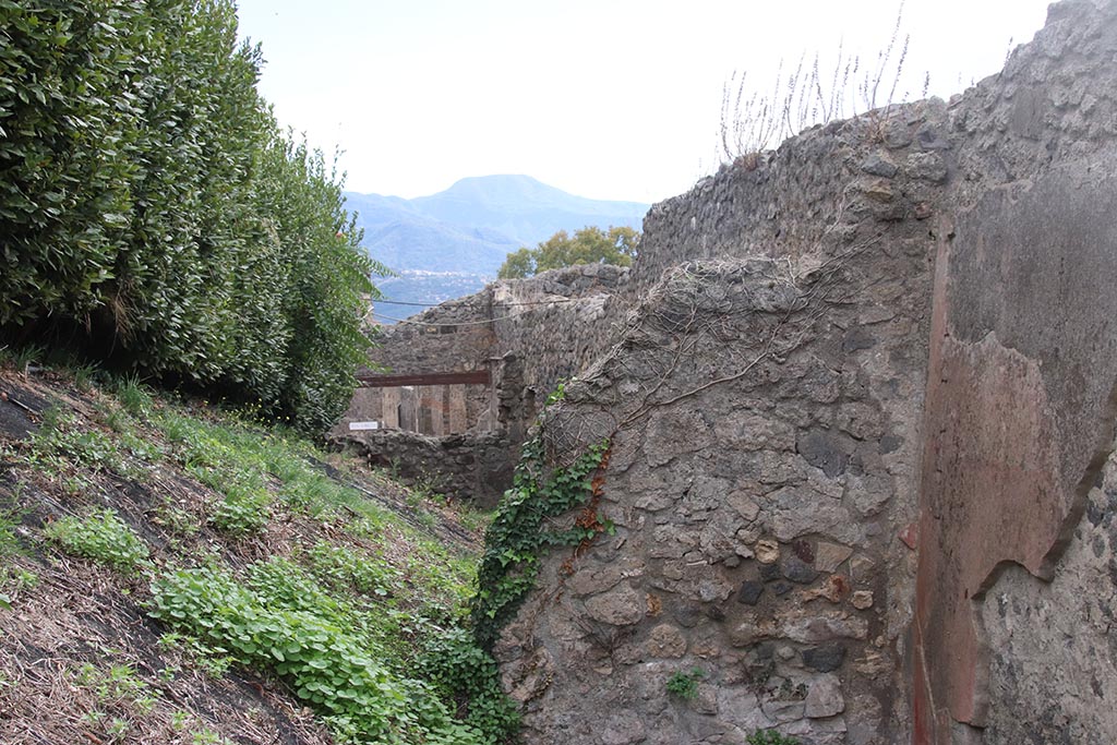 IX.7.12 Pompeii. October 2024.
Room 5, looking towards remnants of south wall in triclinium, in south-west corner, and through into west side of atrium 3, and across cubiculum 4, towards rear wall of IX.7.13. Photo courtesy of Klaus Heese.