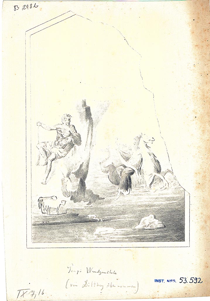IX.7.12 Pompeii (although numbered on drawing as IX.7.16). Triclinium 5, centre of north wall.
Copy of painting of Polyphemus sitting on a rock and Galatea riding a sea horse.
DAIR 83.298b. Photo © Deutsches Archäologisches Institut, Abteilung Rom, Arkiv.