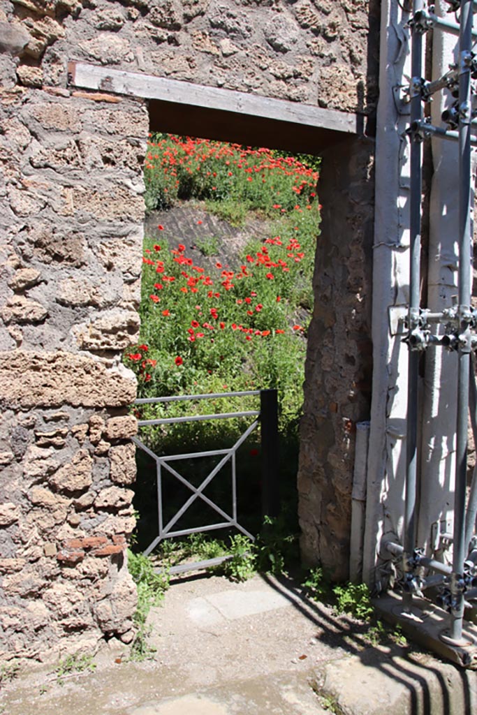 IX.7.14 Pompeii. May 2024. Looking east through entrance doorway. Photo courtesy of Klause Heese.
