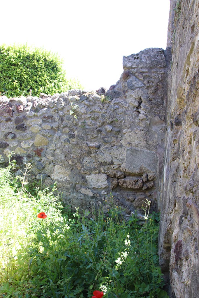IX.7.14 Pompeii. May 2024.
Looking south from entrance doorway. Photo courtesy of Klause Heese.