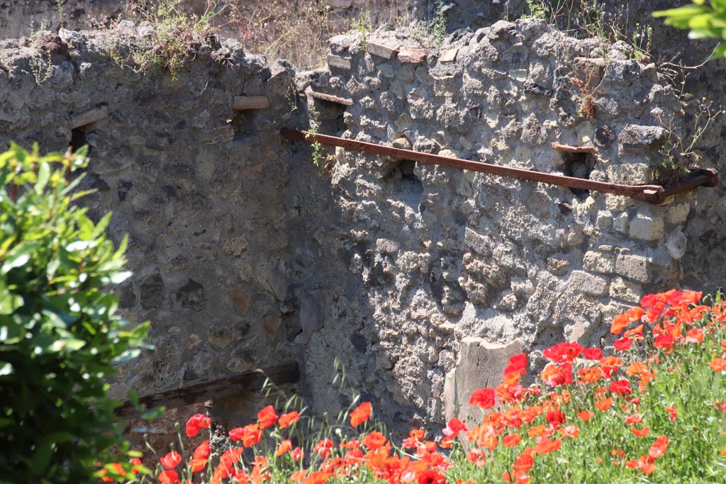 IX.7.14 Pompeii. May 2024.
Looking north-west towards upper wall above doorway, leading into Vicolo di Tesmo, from Casina dell’Aquila. Photo courtesy of Klaus Heese.