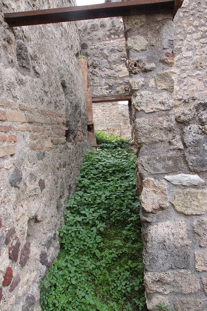 IX.7.16 Pompeii. October 2024.
Room “d”, looking west along south side. Photo courtesy of Klaus Heese.