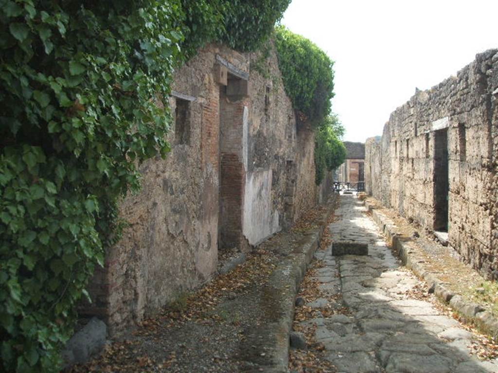 IX.7.17 IX.7.16 Vico di Tesmo IX.1