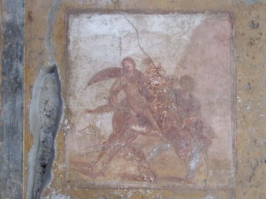 IX.7.20 Pompeii. December 2007. Room (i), west wall of large triclinium, with wall painting of Adonis.
Schefold describes this as Adonis, with a Persian clothed companion, going on a hunt.
See Schefold, K., 1957. Die Wände Pompejis. Berlin: De Gruyter. (p. 271).
According to Peters, this was an Amazon on horseback.
He described the background as being a grey-lilac mountain-ridge with a small tree on the left, and a column in the centre.
On the right, was a lilac-pink rock.
This background whilst taking up a large amount of space provided few details and was typically Fourth Style.
See Peters, W.J.T. (1963): Landscape in Romano-Campanian Mural Paintings. The Netherlands, Van Gorcum & Comp. (p.108)