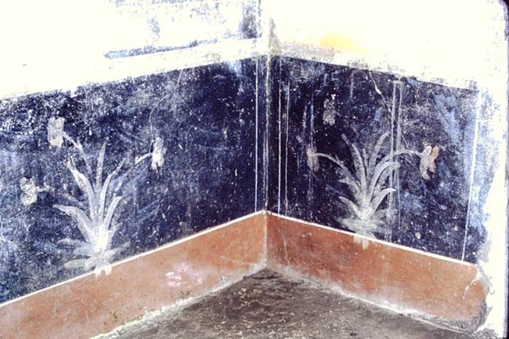 IX.7.20 Pompeii, 1968. Room (i), painted black zoccolo and red plinth in north-west corner. Photo by Stanley A. Jashemski.
Source: The Wilhelmina and Stanley A. Jashemski archive in the University of Maryland Library, Special Collections (See collection page) and made available under the Creative Commons Attribution-Non Commercial License v.4. See Licence and use details. J68f1529