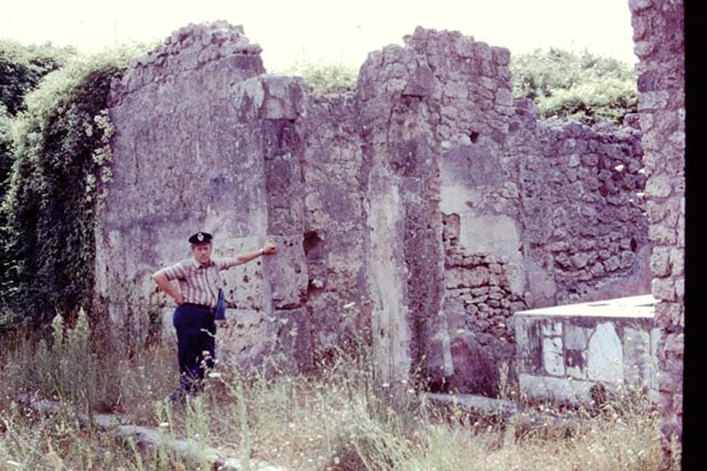 IX.7.24 Pompeii, on right. 1977. Looking east along south side of roadway towards entrances. Photo by Stanley A. Jashemski.
Source: The Wilhelmina and Stanley A. Jashemski archive in the University of Maryland Library, Special Collections (See collection page) and made available under the Creative Commons Attribution-Non Commercial License v.4. See Licence and use details. J77f0462