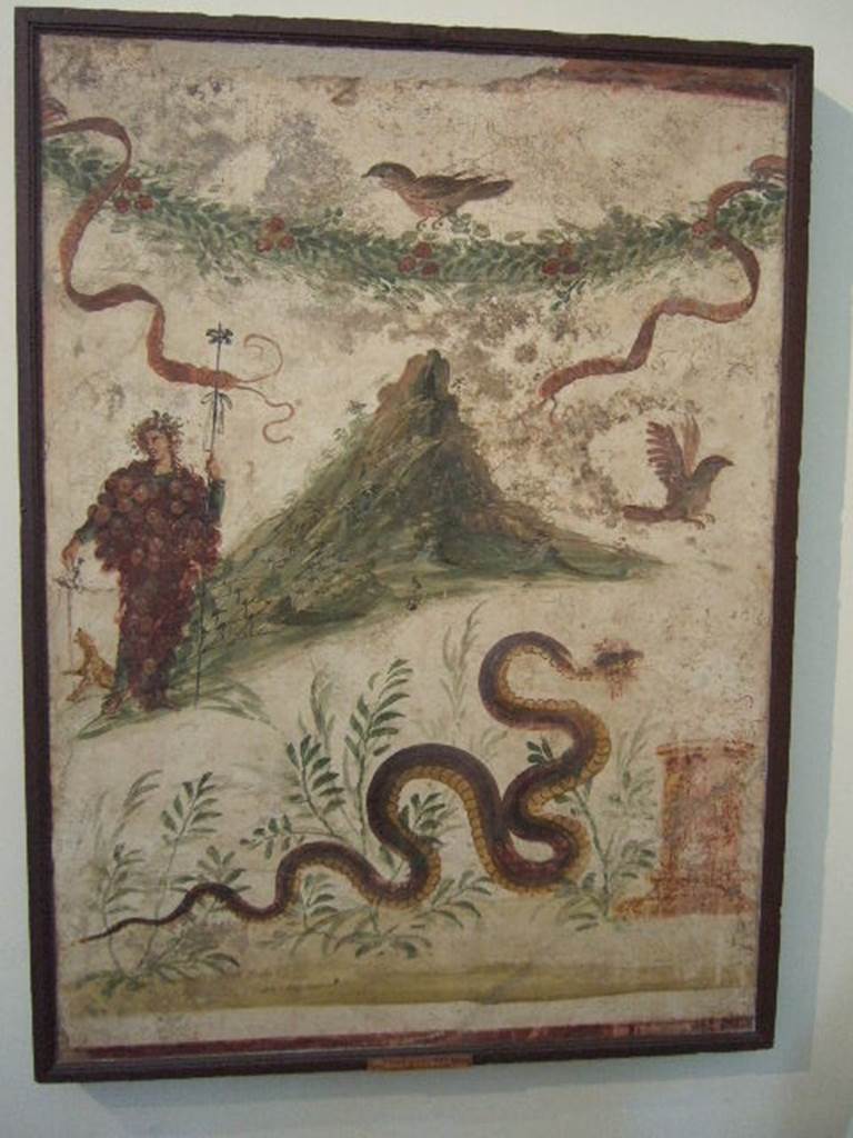IX.8.3-6 Pompeii. Found in Atrium of servants quarters (see IX.8.6 for exact position). Lararium painting of Bacchus wearing a bunch of grapes. Also in the painting are a garland, birds and a snake approaching a round altar from the left. Bacchus is pouring wine for the panther to drink. The mountain slopes are covered in vines. Now in Naples Archaeological Museum. Inventory number: 112286. See Fröhlich, T., 1991. Lararien und Fassadenbilder in den Vesuvstädten. Mainz: von Zabern. (L107, T: 11). See Boyce G. K., 1937. Corpus of the Lararia of Pompeii. Rome: MAAR 14. (p.89, no.448, with Pl.40,2)