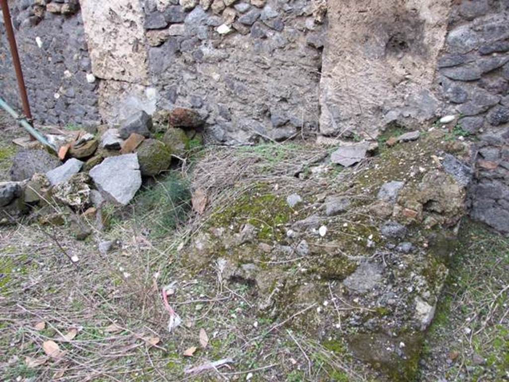 IX.8.6 Pompeii. March 2009. Room 44, Large room of IX.8.3. Looking north.
