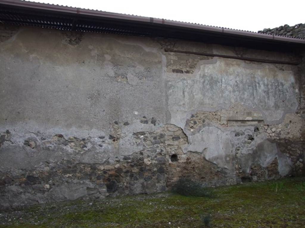 IX.8.6 Pompeii. March 2009. Room 44, Large room of IX.8.3. South wall.