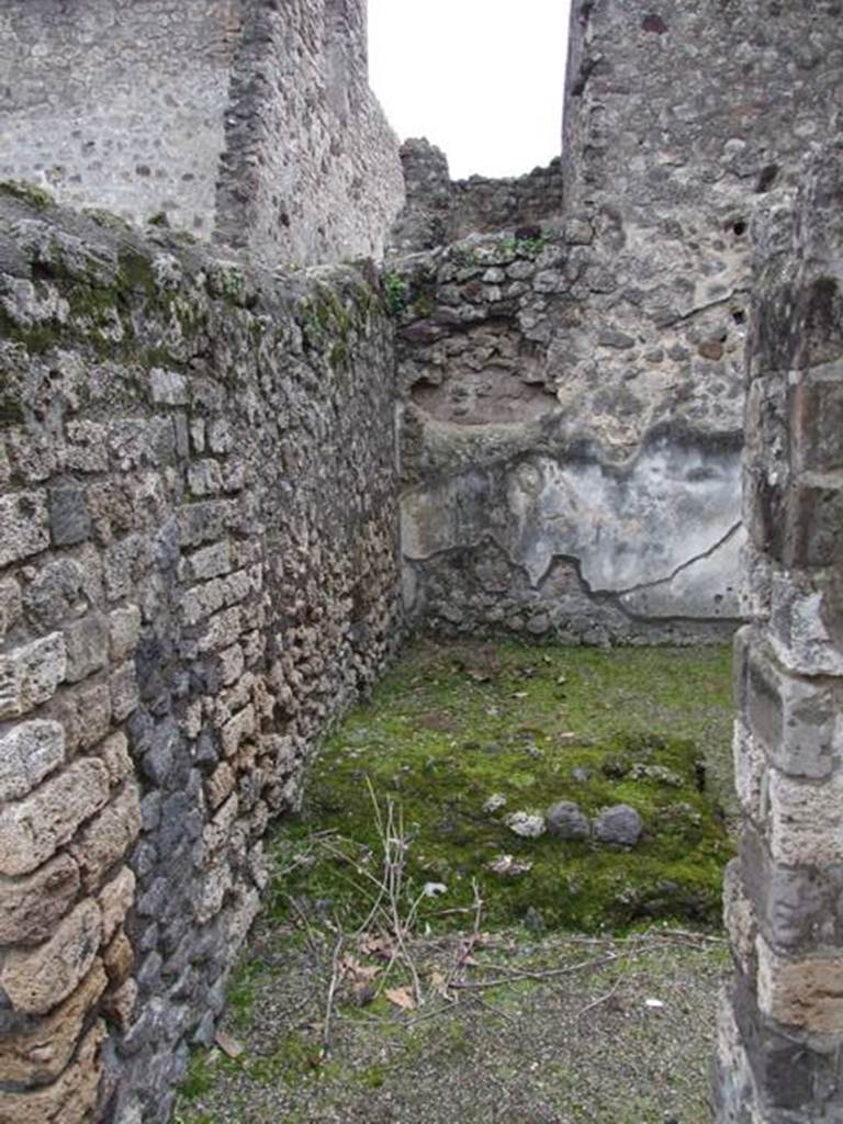 IX.8.6 Pompeii. March 2009. Room 46, Room of IX.8.3. Looking south.