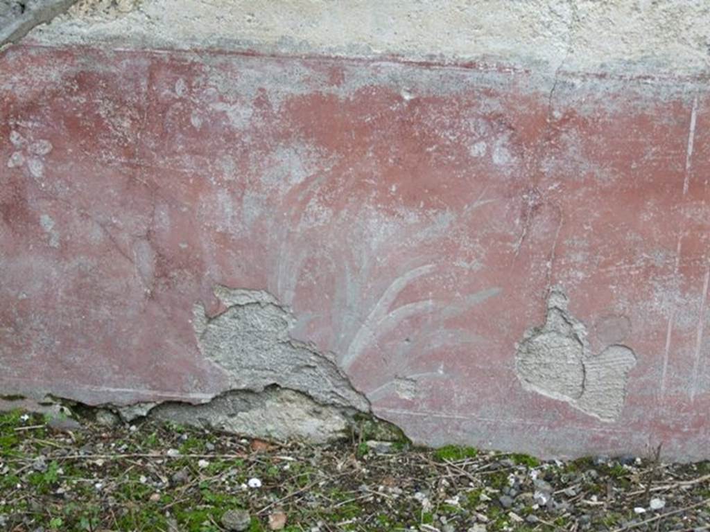 IX.8.6 Pompeii. March 2009. Room 45, room of IX.8.3. Remains of red zoccolo painted with garden plants. The red zoccolo, with plinth, was painted in panels showing flowering plants alternating with bushes with lanceolate leaves, separated by narrow compartments. The middle zone of the wall, above the zoccolo, was painted white