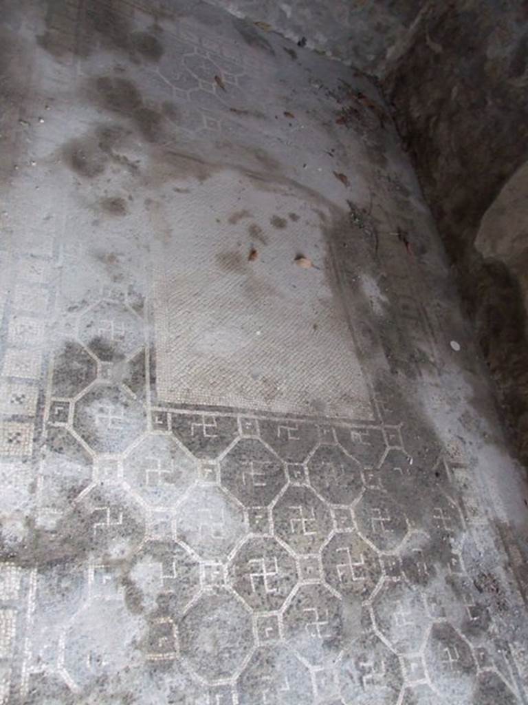 IX.8.6 Pompeii. March 2009. Room 55, looking north across mosaic floor in cubiculum. The centre white rectangle is a modern replacement for the gorgon mosaic taken to the museum.