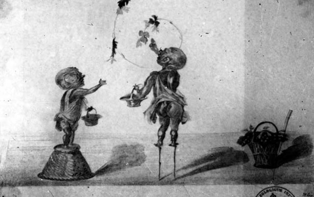 IX.8.6 Pompeii. W.1459. Drawing of wall painting of pygmies gathering the grapes, from east side of centre of north wall, of room 57.
Photo by Tatiana Warscher. Photo © Deutsches Archäologisches Institut, Abteilung Rom, Arkiv.