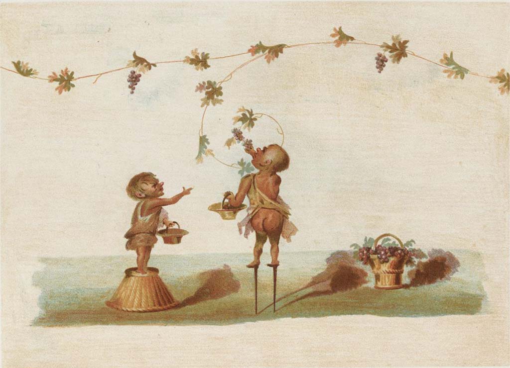 IX.8.6 Pompeii. Room 57, drawing of wall painting of pygmies gathering the grapes, from east side of centre of north wall.
See Niccolini F, 1890. Le case ed i monumenti di Pompei: Volume Terzo. Napoli. Casa del Centenario (Tav. IV).