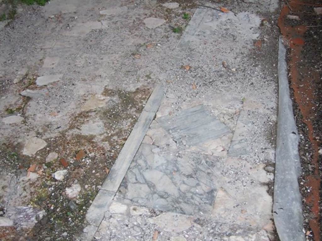 IX.8.6 Pompeii. March 2009. Room 57, White Triclinium, Marble floor.