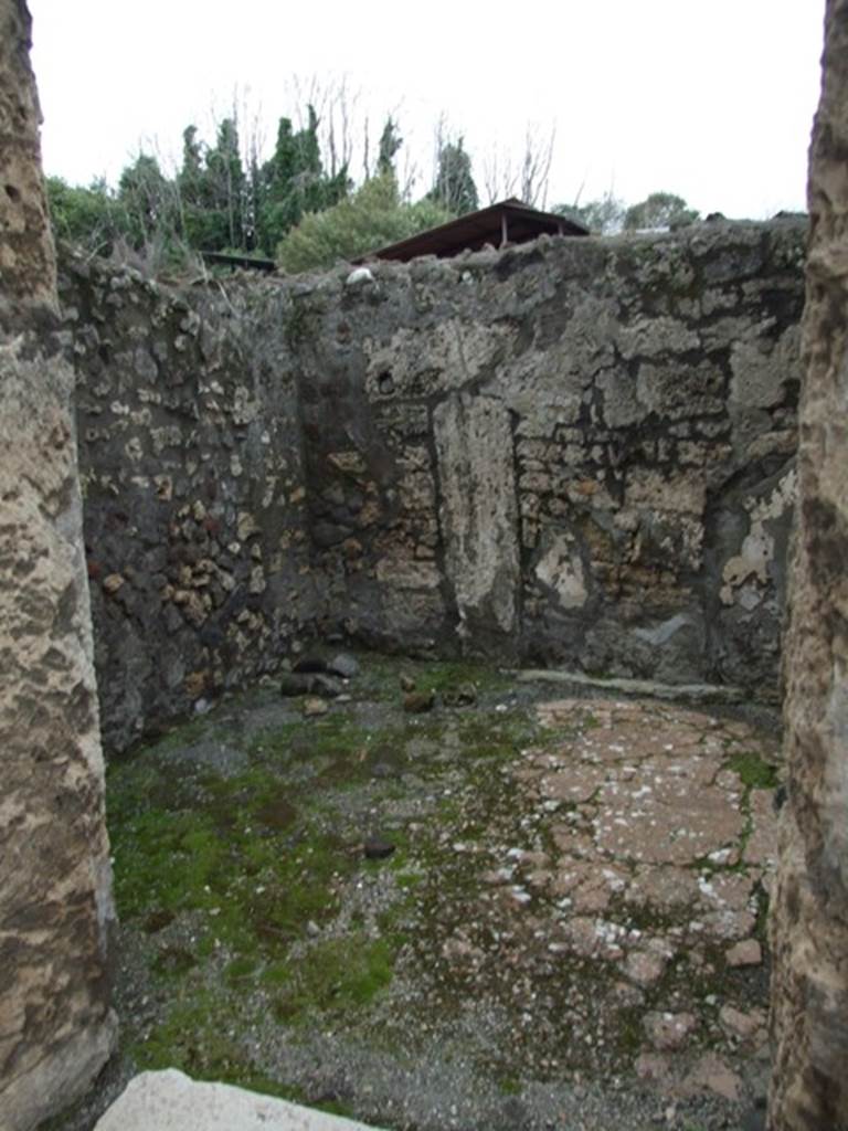 IX.8.6 Pompeii. March 2009. Room 5. North wall.