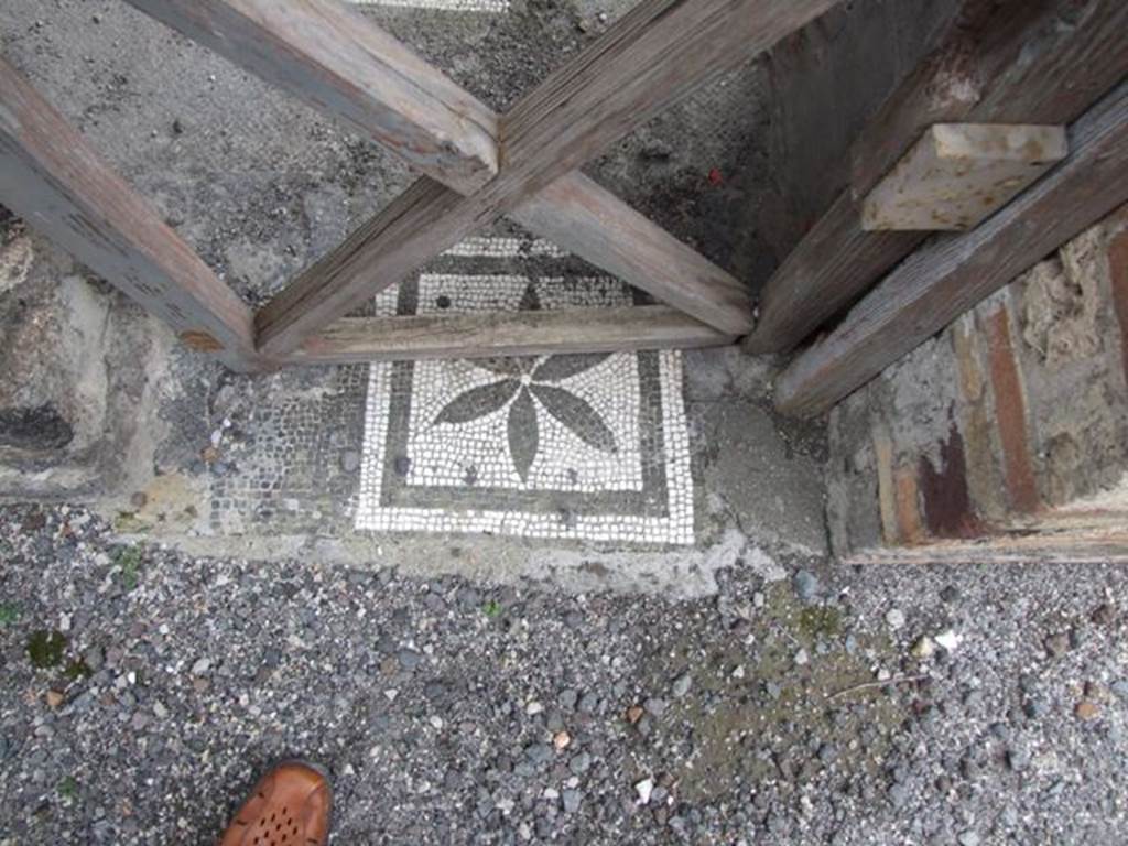 IX.8.6 Pompeii. March 2009. Room 11, Mosaic in threshold of side door from andron.