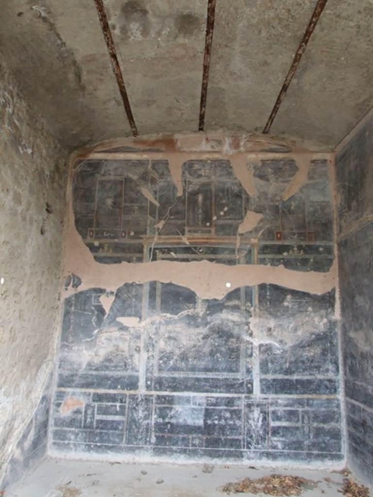 IX.8.6 Pompeii. March 2009. Room 11, North wall.