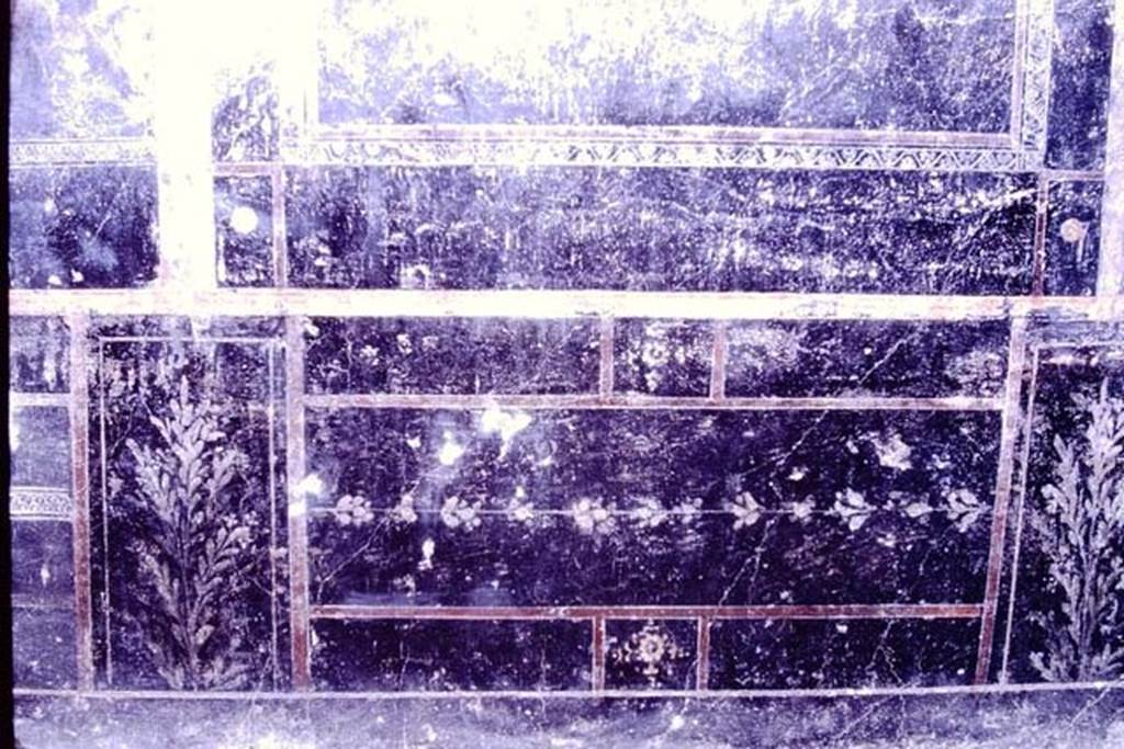 IX.8.6 Pompeii. 1966. Room 11, centre of zoccolo of north wall. Photo by Stanley A. Jashemski.
Source: The Wilhelmina and Stanley A. Jashemski archive in the University of Maryland Library, Special Collections (See collection page) and made available under the Creative Commons Attribution-Non Commercial License v.4. See Licence and use details.
J66f0702
