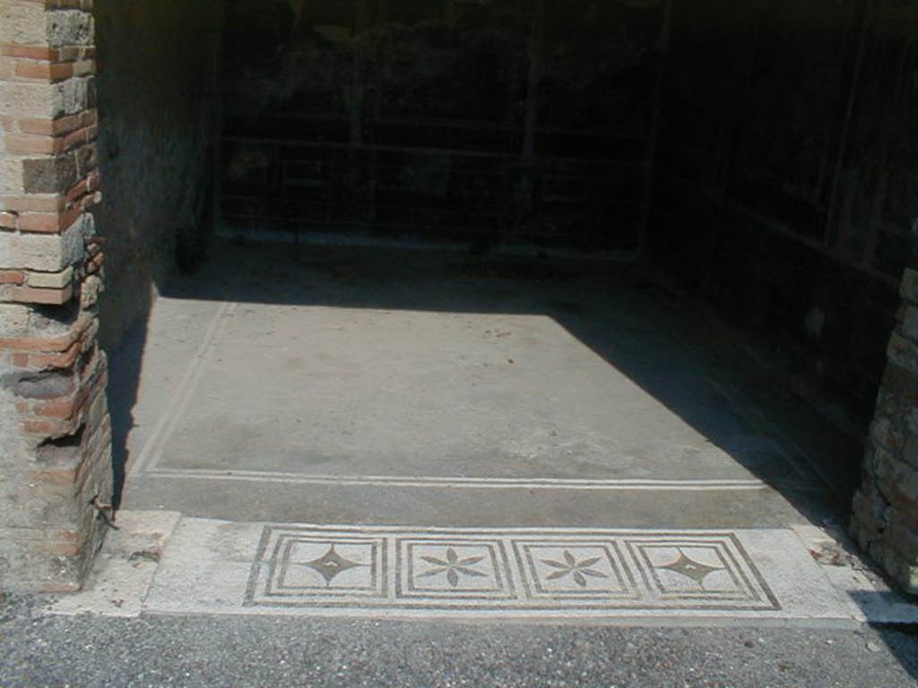 IX.8.6 Pompeii. September 2004. Room 11, mosaic door sill.