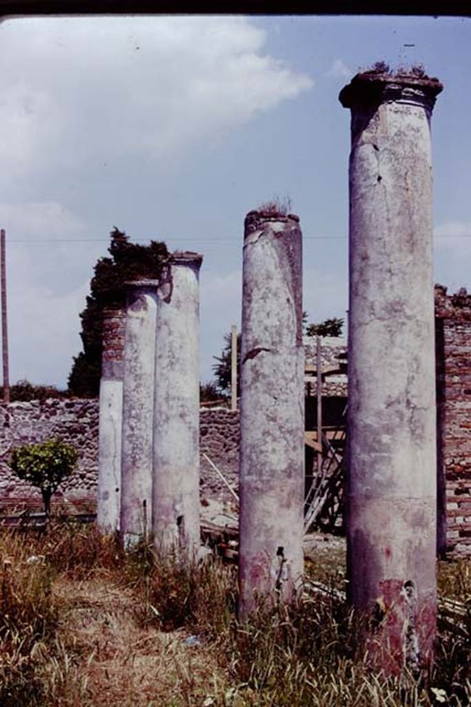 IX.8.6 Pompeii, 1978. Looking east across south end of peristyle. Photo by Stanley A. Jashemski.
Source: The Wilhelmina and Stanley A. Jashemski archive in the University of Maryland Library, Special Collections (See collection page) and made available under the Creative Commons Attribution-Non Commercial License v.4. See Licence and use details.
J78f0218
According to Jashemski, the peristyle was enclosed on four sides by twenty-two columns, white above and red below.
Cuts in the columns indicated where a wooden fence would have been inserted between the columns.
See Jashemski, W. F., 1993. The Gardens of Pompeii, Volume II: Appendices. New York: Caratzas. (p.244).