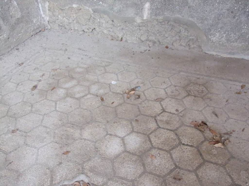 IX.8.6 Pompeii. March 2009. Room 12. Exedra. Mosaic floor.