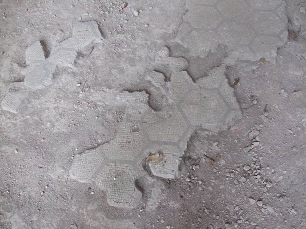 IX.8.6 Pompeii. March 2009. Room 12, remains of part of mosaic floor in exedra.