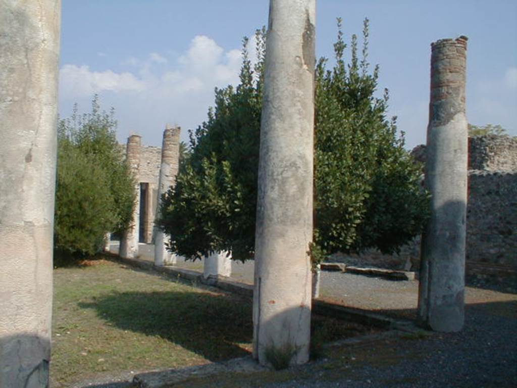 IX.8.6 Pompeii. September 2004. East side of peristyle looking north.