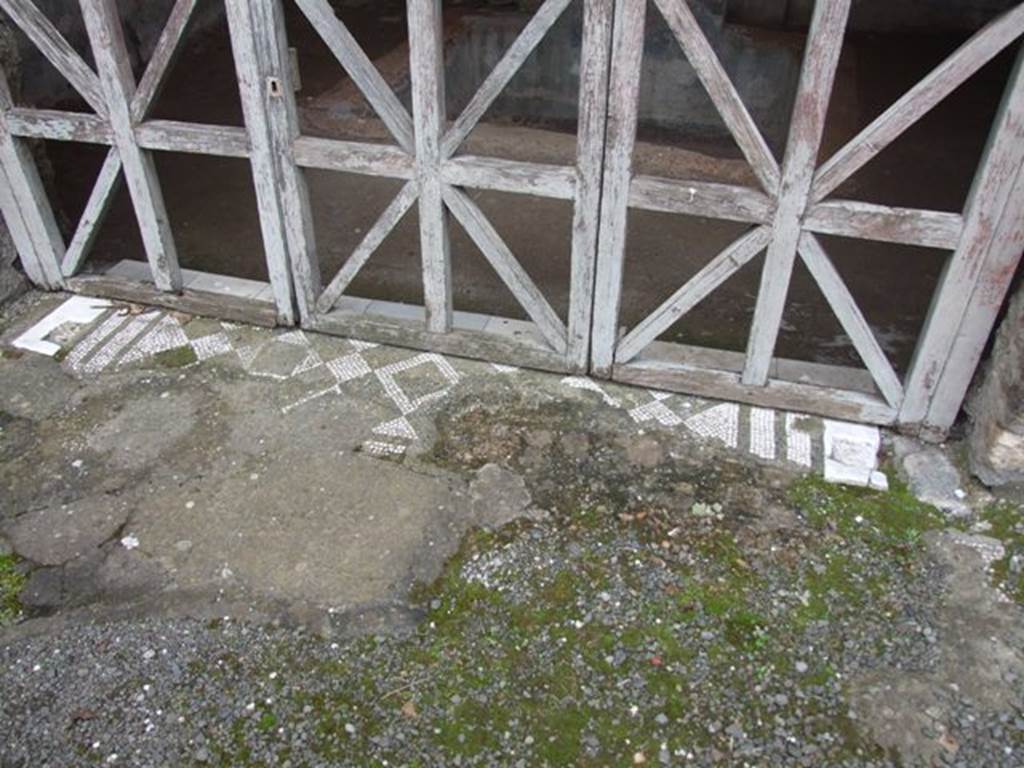 IX.8.6 Pompeii. March 2009. Mosaic entrance threshold from Room 14 into Nymphaeum.