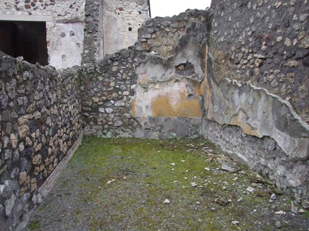 IX.8.6 Pompeii. March 2009. Room 15, South wall.