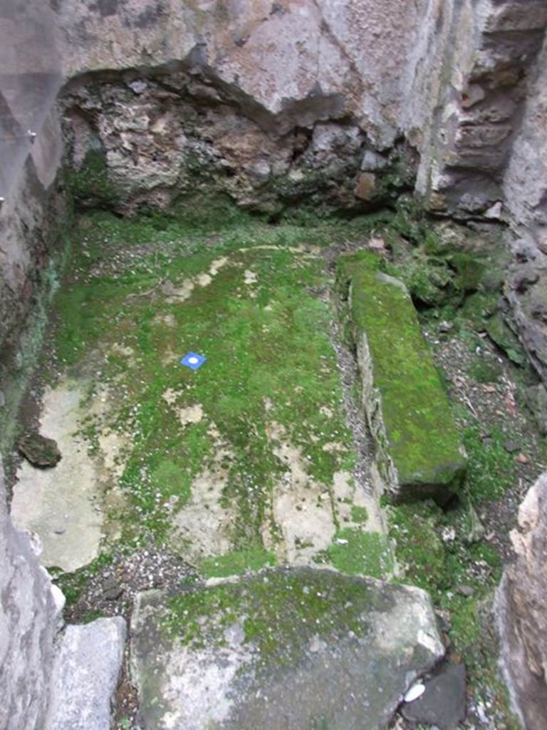 IX.8.6 Pompeii. March 2009. Room 27, floor of latrine. According to Hobson this latrine may have been a two-seater. See Hobson, B. 2009. Pompeii, Latrines and Down Pipes. Oxford, Hadrian Books, (p.530-1)