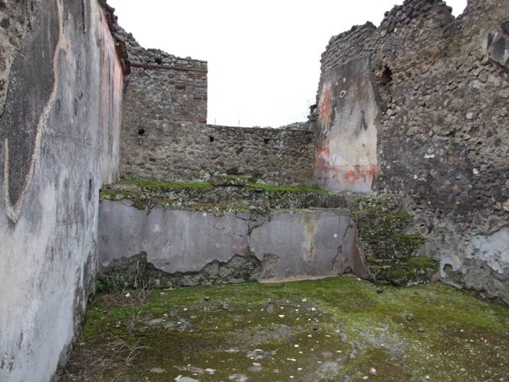 IX.8.6 Pompeii. March 2009. Room 31, frigidarium with pool, looking south. According to PPM, the pool was reached by climbing up three steps, and then by going down into the pool by two steps. The steps were coated with Opus signinum plaster painted azure blue, as also was the inside of the pool. The outside wall of the pool was painted as imitation marble in slabs of numidian. Found on the east and west walls (left and right walls) were nilotic scenes, but today totally illegible. The floor was made of cocciopesto with rows of large white tesserae.